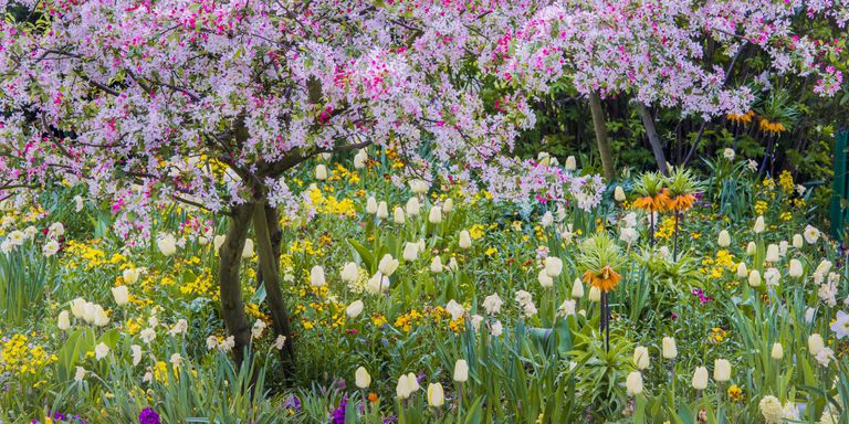 landscape-1506017271-gettyimages-532061691